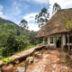 Where You Should Stay for Gorilla Trekking in Bwindi