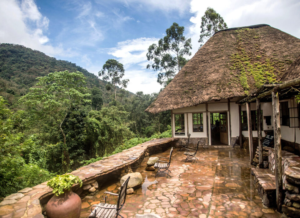 Where You Should Stay for Gorilla Trekking in Bwindi