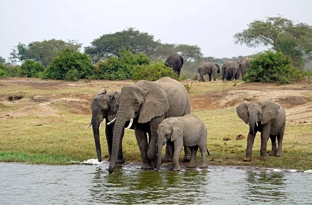 Can I go on a boat cruise along the Kazinga Channel?