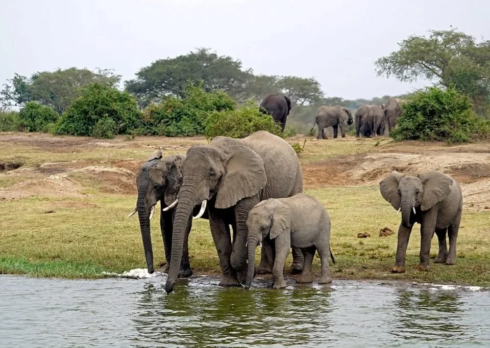 Can I go on a boat cruise along the Kazinga Channel?