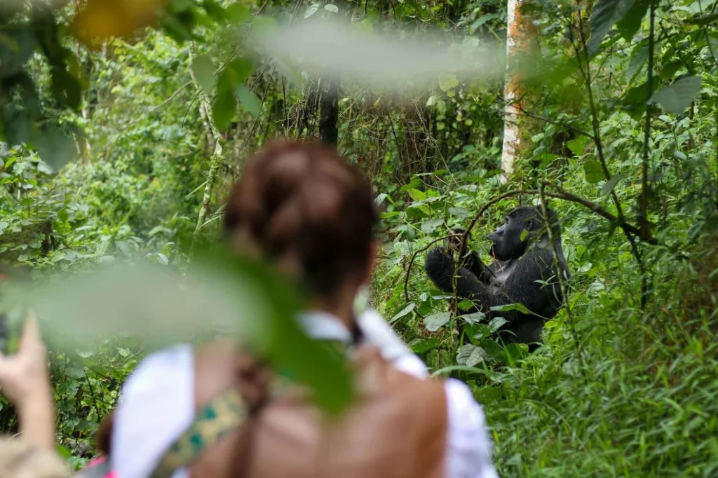 Can I visit both southern and northern Bwindi?