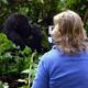How difficult is gorilla trekking in Bwindi?