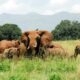 How do I reach Kidepo Valley National Park?