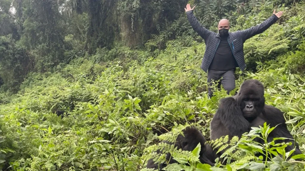 How long does a gorilla trek take in Uganda?