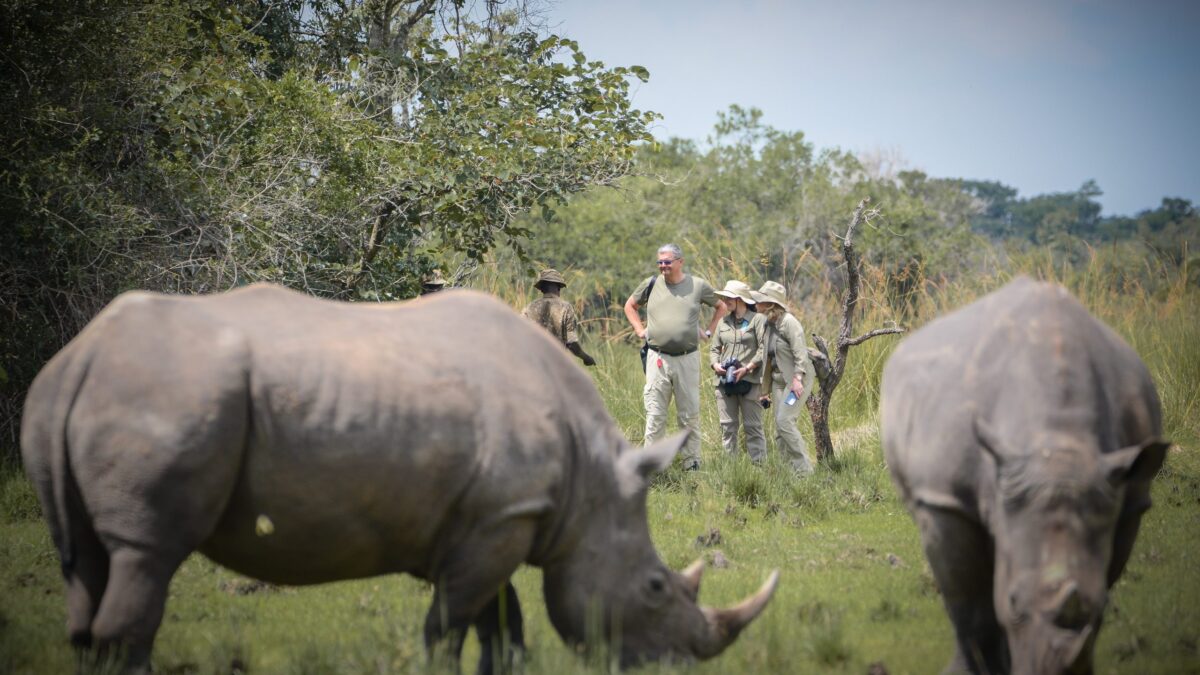 Is Ziwa Rhino Sanctuary worth visiting?