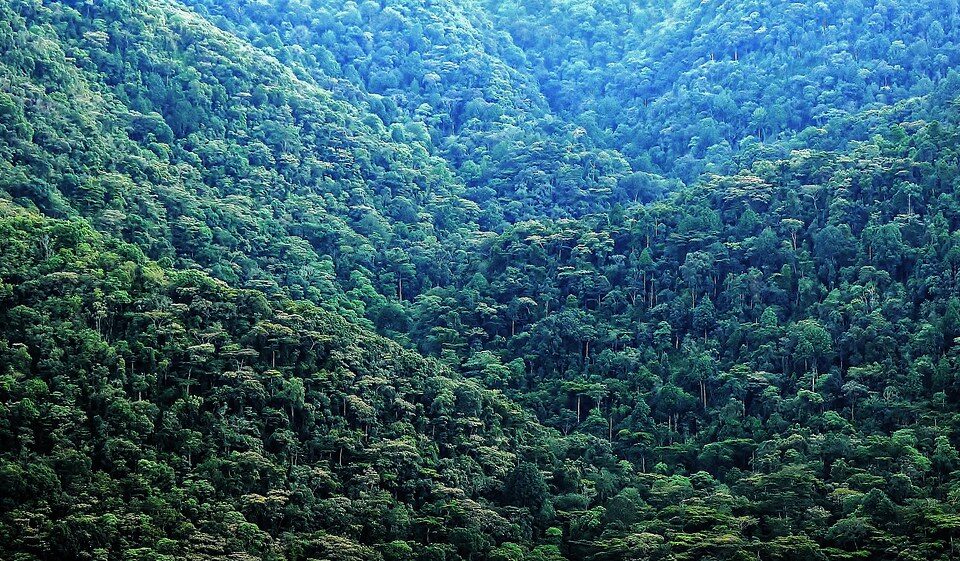 What’s the weather like in Bwindi year-round?