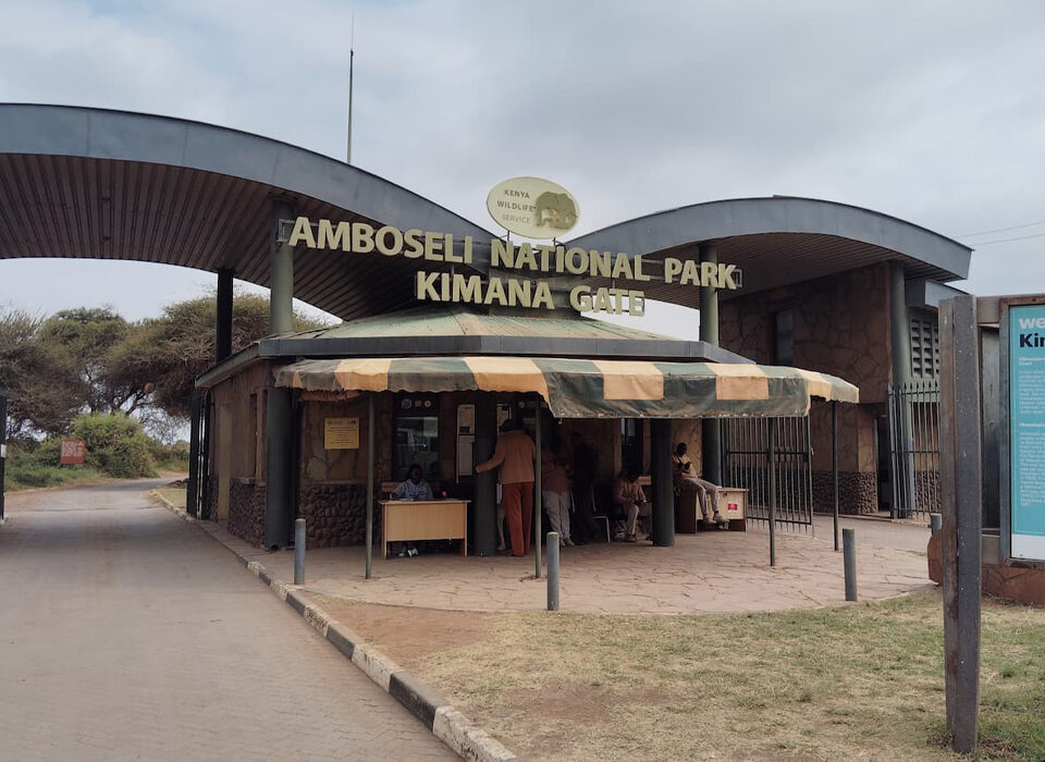 Amboseli National Park: Kenya’s Wildlife Paradise
