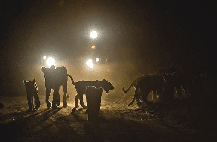 Are night temperatures cold on safari?