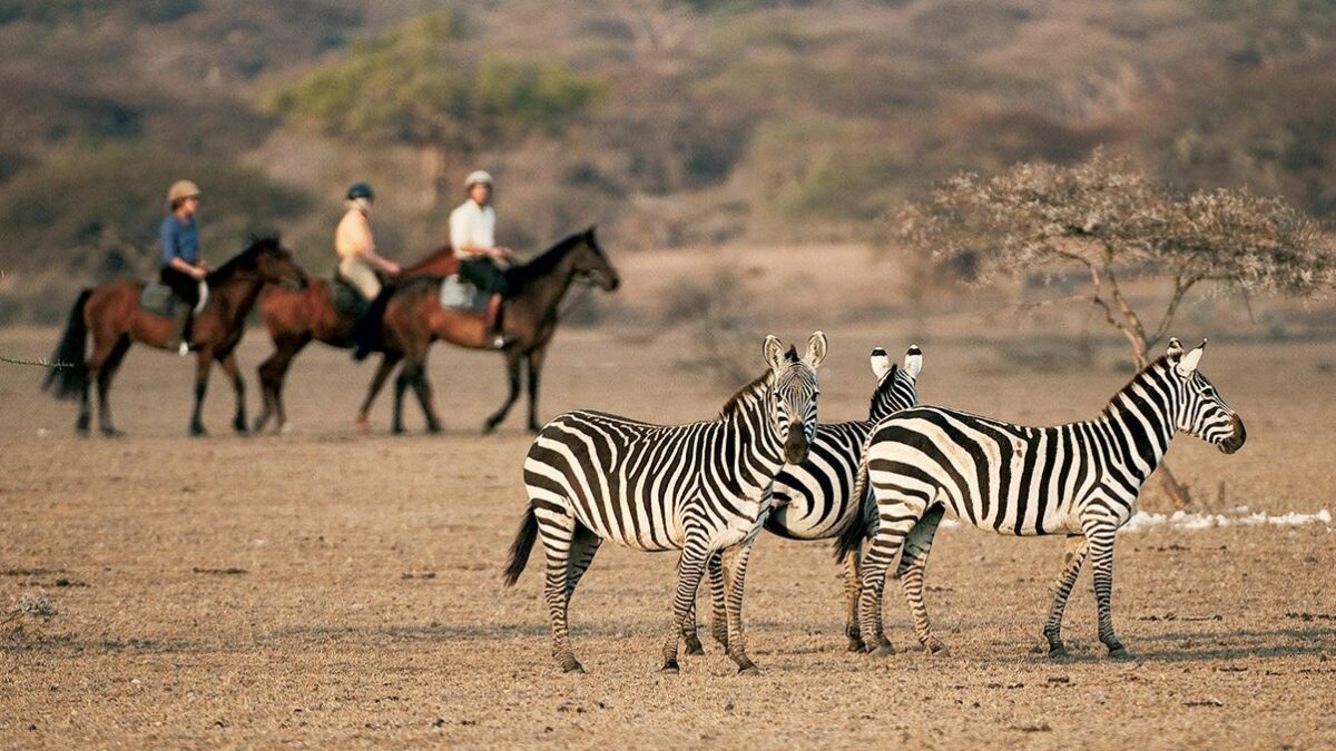 Are there horseback safaris in Kenya?