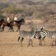 Are there horseback safaris in Kenya?