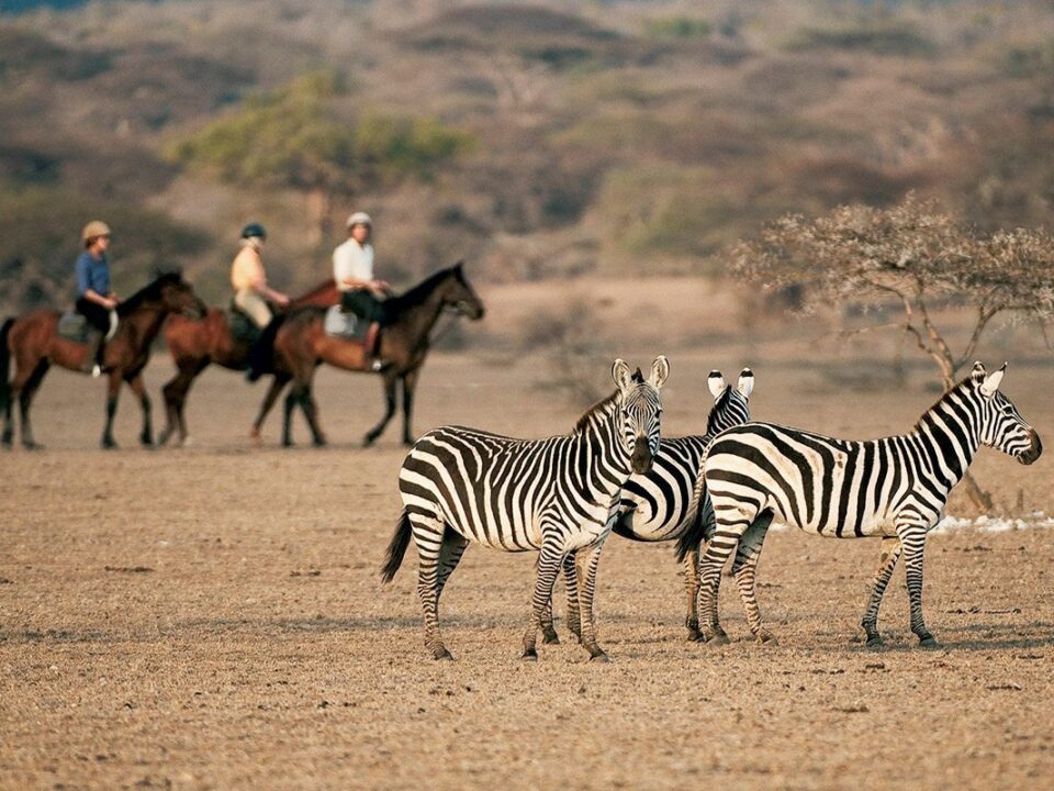 Are there horseback safaris in Kenya?