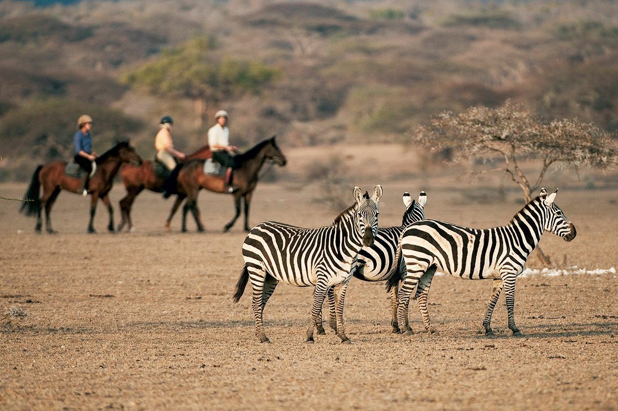 Are there horseback safaris in Kenya?