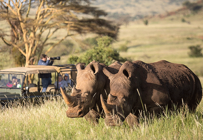 Are there private game reserves in Kenya?