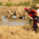 Are there walking safaris in Kenya?