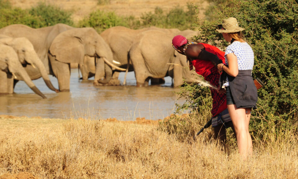 Are there walking safaris in Kenya?