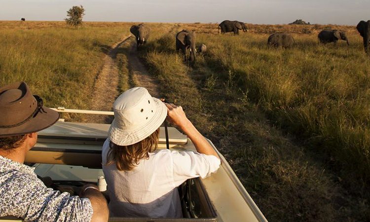 Best Uganda Safari Tours for Couples