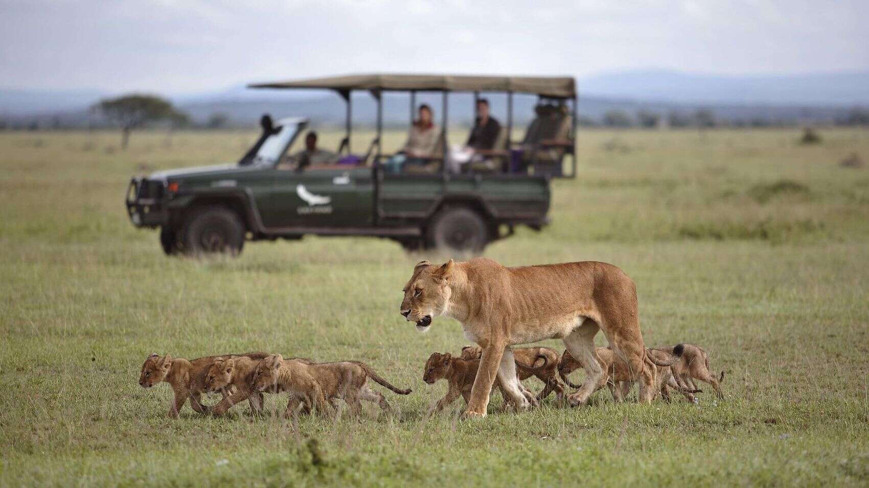 Can I combine Maasai Mara and Serengeti in one trip?