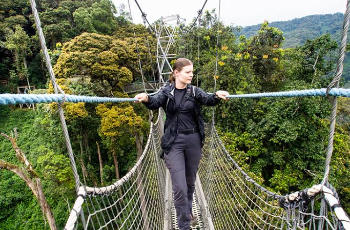 Can I do a canopy walk in Nyungwe Forest?
