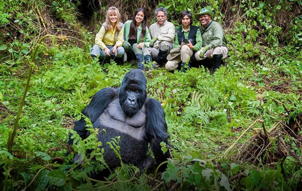Can I do a luxury gorilla trek in Rwanda?