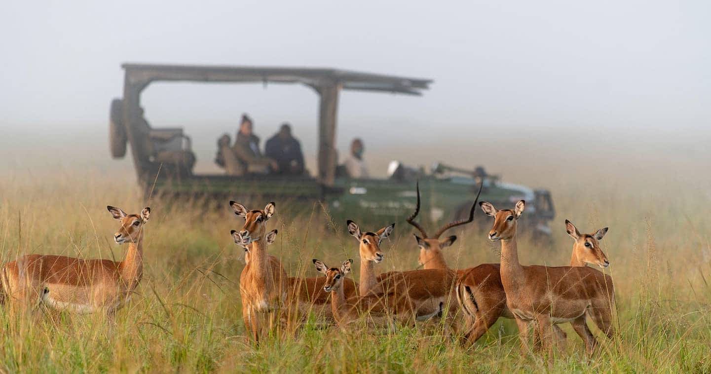Can I find private conservancies near the Mara?