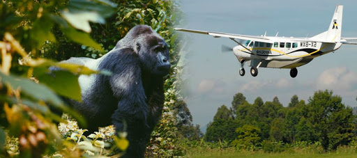 Can I fly directly to Bwindi?