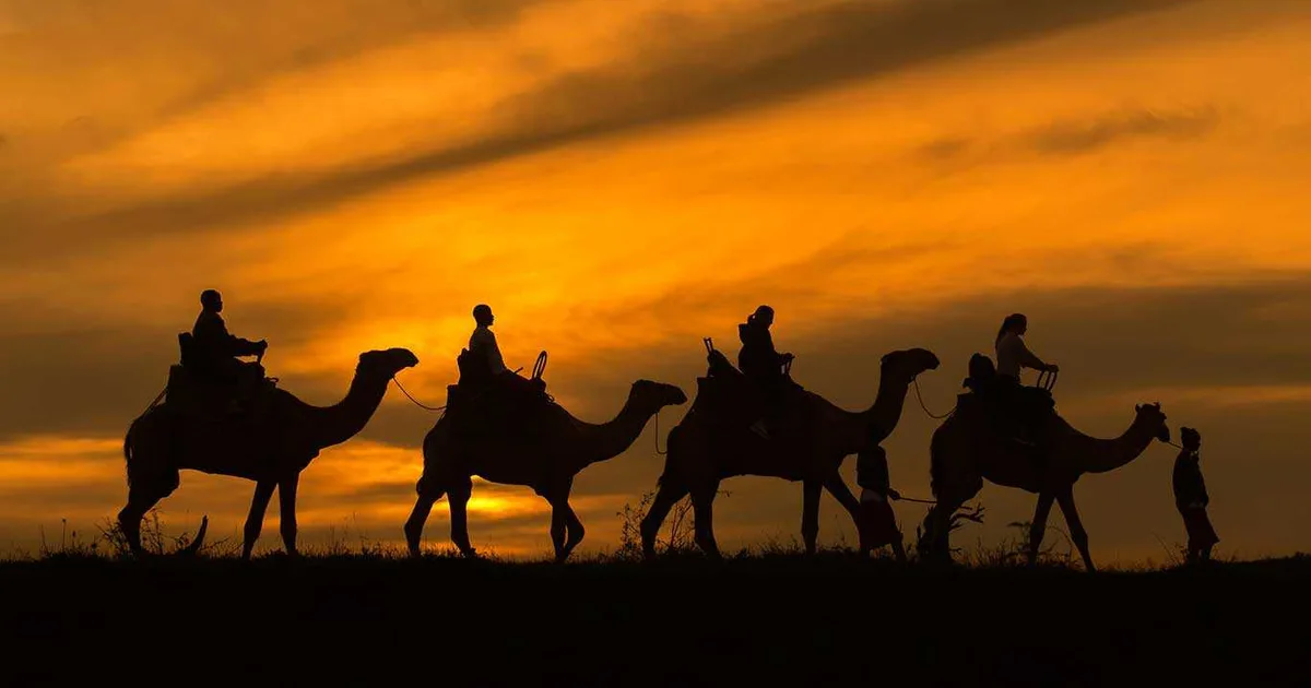 Can I go camel trekking in Samburu?