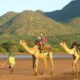 Can I go camel trekking in Samburu?