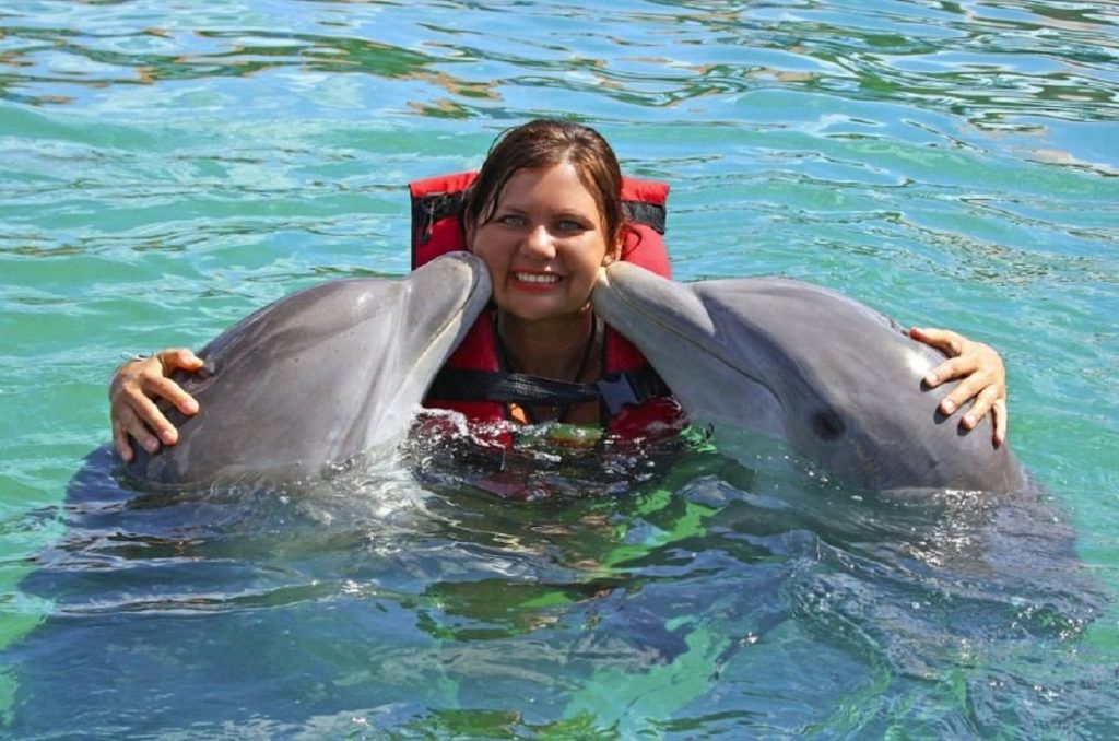 Can I go dolphin watching near Wasini Island?