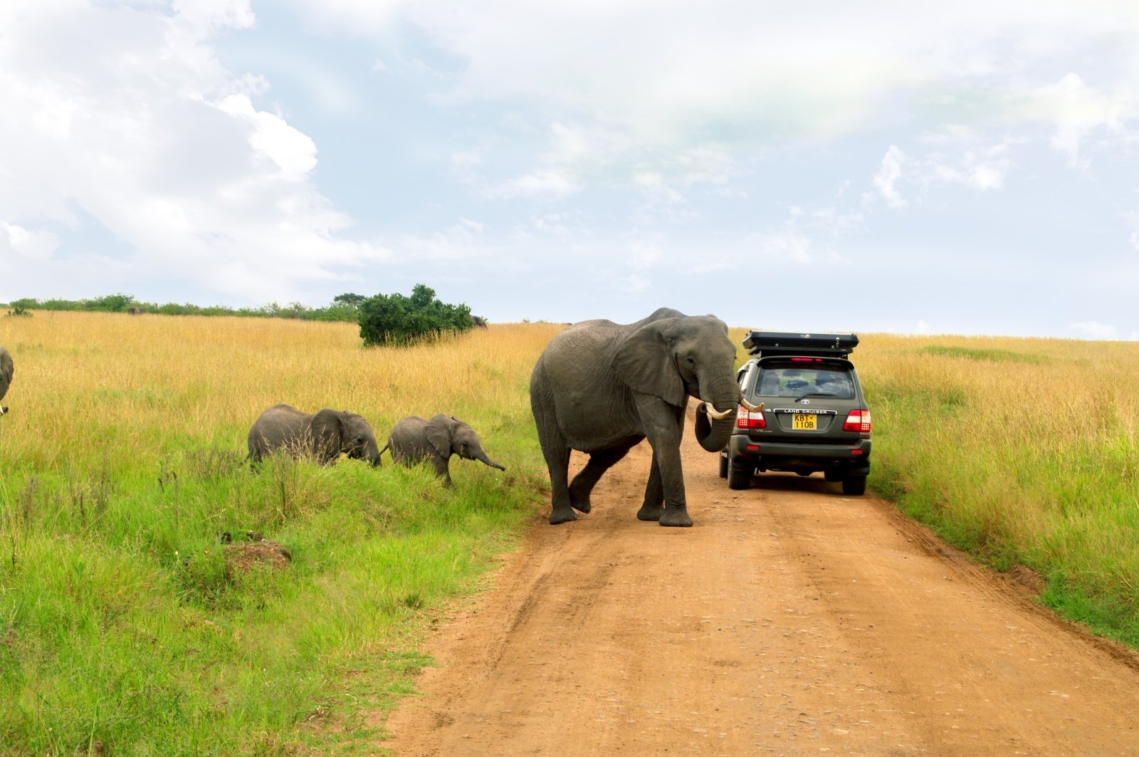 Can I rent a 4x4 for self-driving in Kenya?