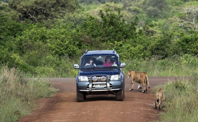 Can I rent a 4x4 for self-driving in Kenya?