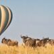 Can I take a hot air balloon over the Mara?