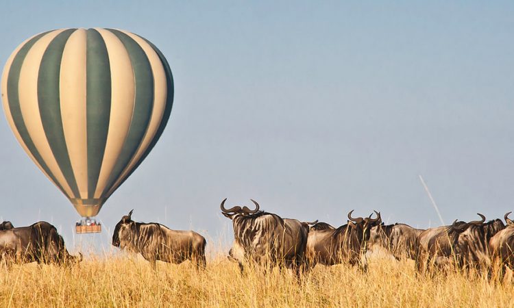 Can I take a hot air balloon over the Mara?