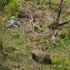 Can I use drones in Kenya’s parks?