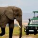 Can I visit Akagera National Park for a classic safari?