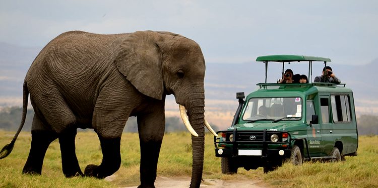 Can I visit Akagera National Park for a classic safari?