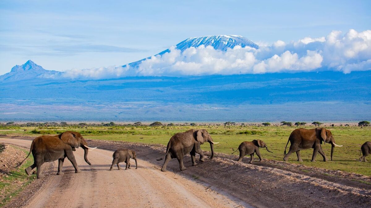 Can I visit Amboseli and Tsavo in one trip?