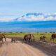 Can I visit Amboseli and Tsavo in one trip?