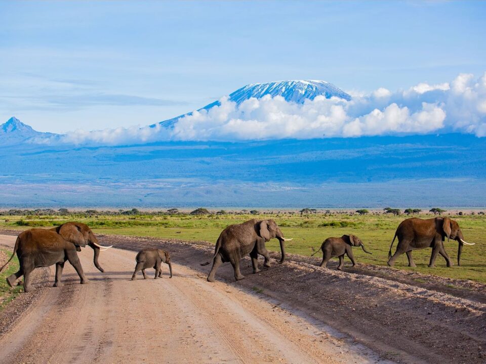 Can I visit Amboseli and Tsavo in one trip?