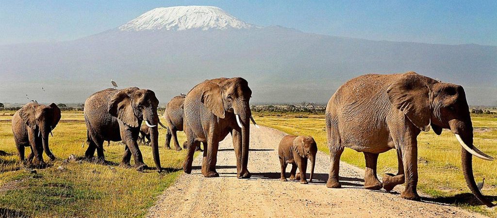 Can I visit Amboseli and Tsavo in one trip?