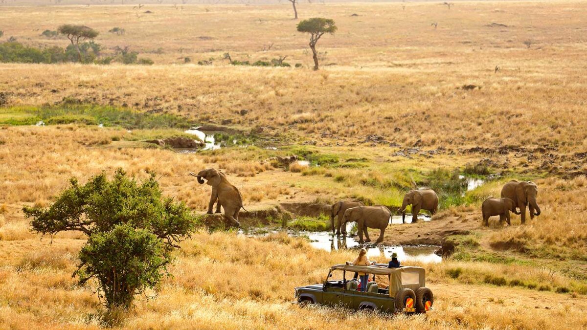 Can I visit Lewa Wildlife Conservancy?