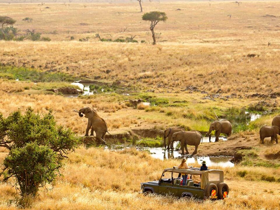 Can I visit Lewa Wildlife Conservancy?