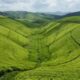 Can I visit tea plantations in Rwanda?