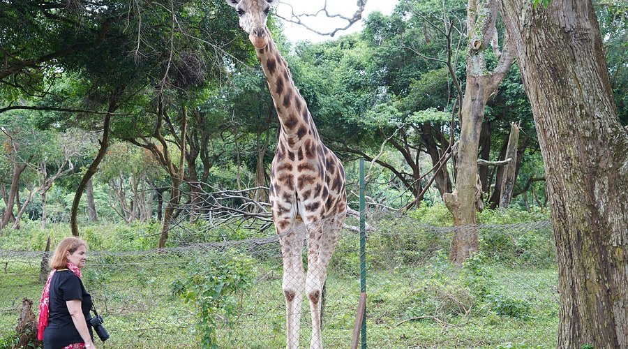 Can I visit the Uganda Wildlife Education Centre?