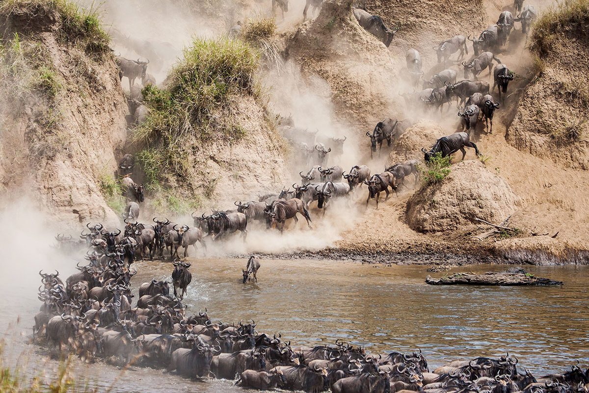 How do I photograph the Great Migration?