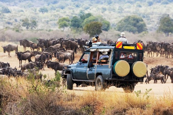 How do I photograph the Great Migration safely?