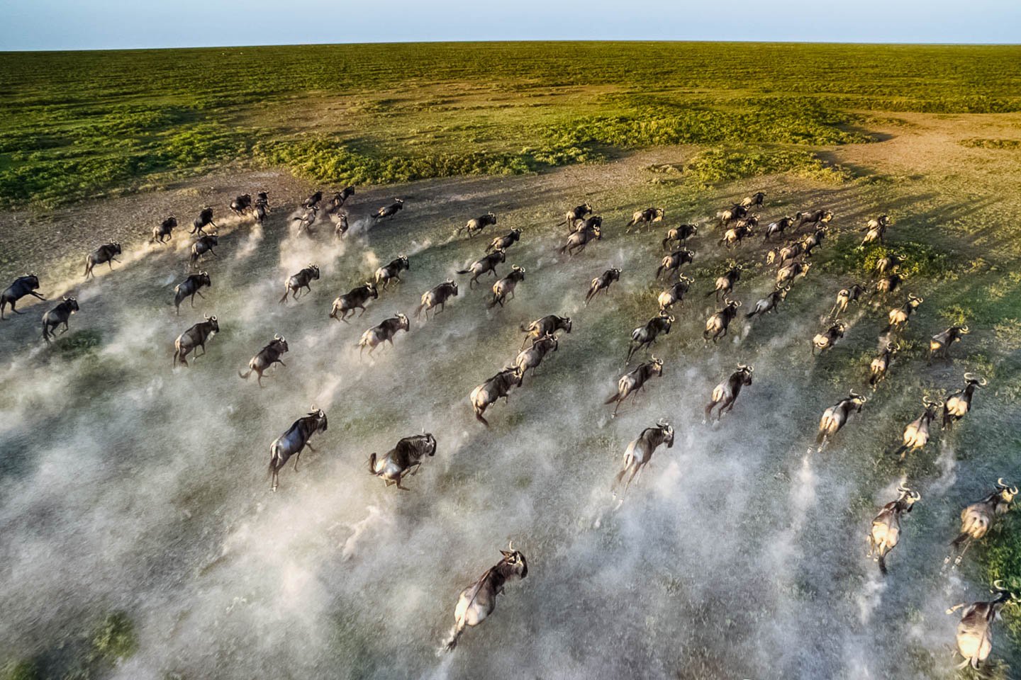 How do I photograph the Great Migration?