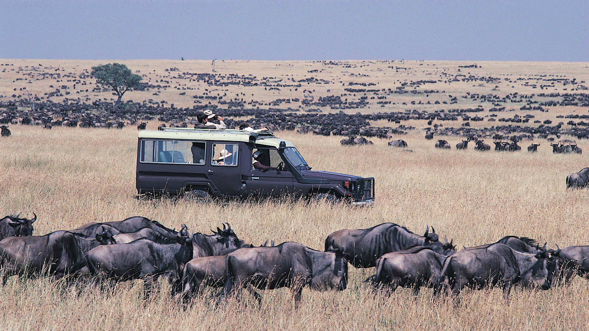 How do I reach Maasai Mara from Nairobi?