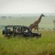 How far in advance should I book a Kenya safari?