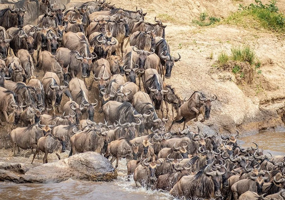 How long does the Great Migration last?