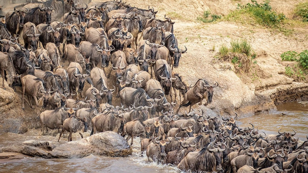 How long does the Great Migration last?